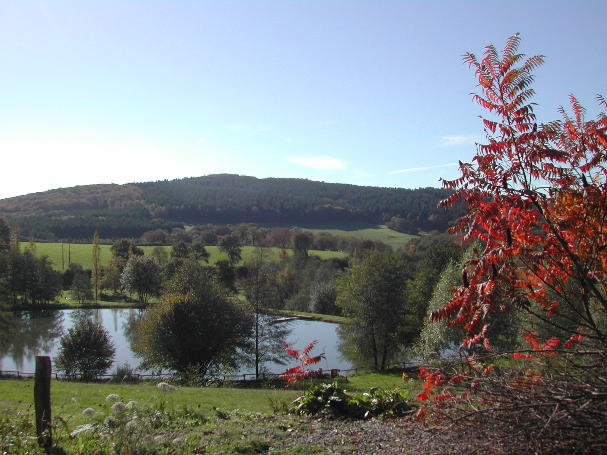 Camping Fougeraie vue terrase