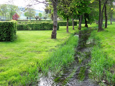 camping du ternin, lucenay-lévêque