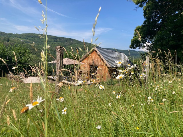 Le Chalet Au Bois Du Haut Folin