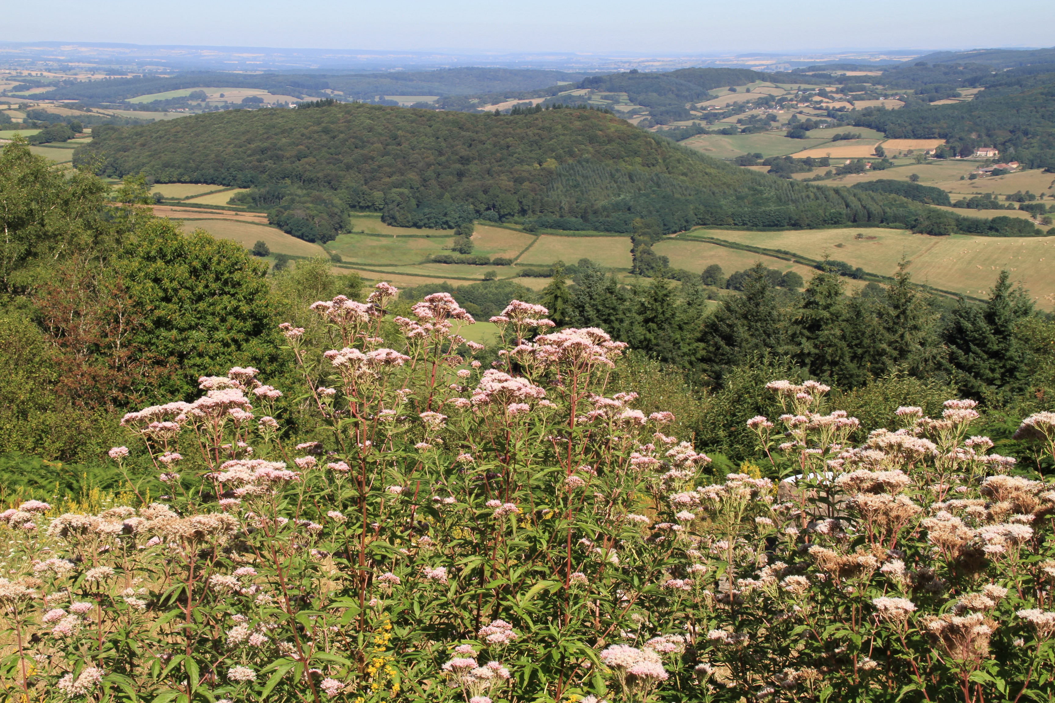 Paysage depuis la chapelle du Banquet