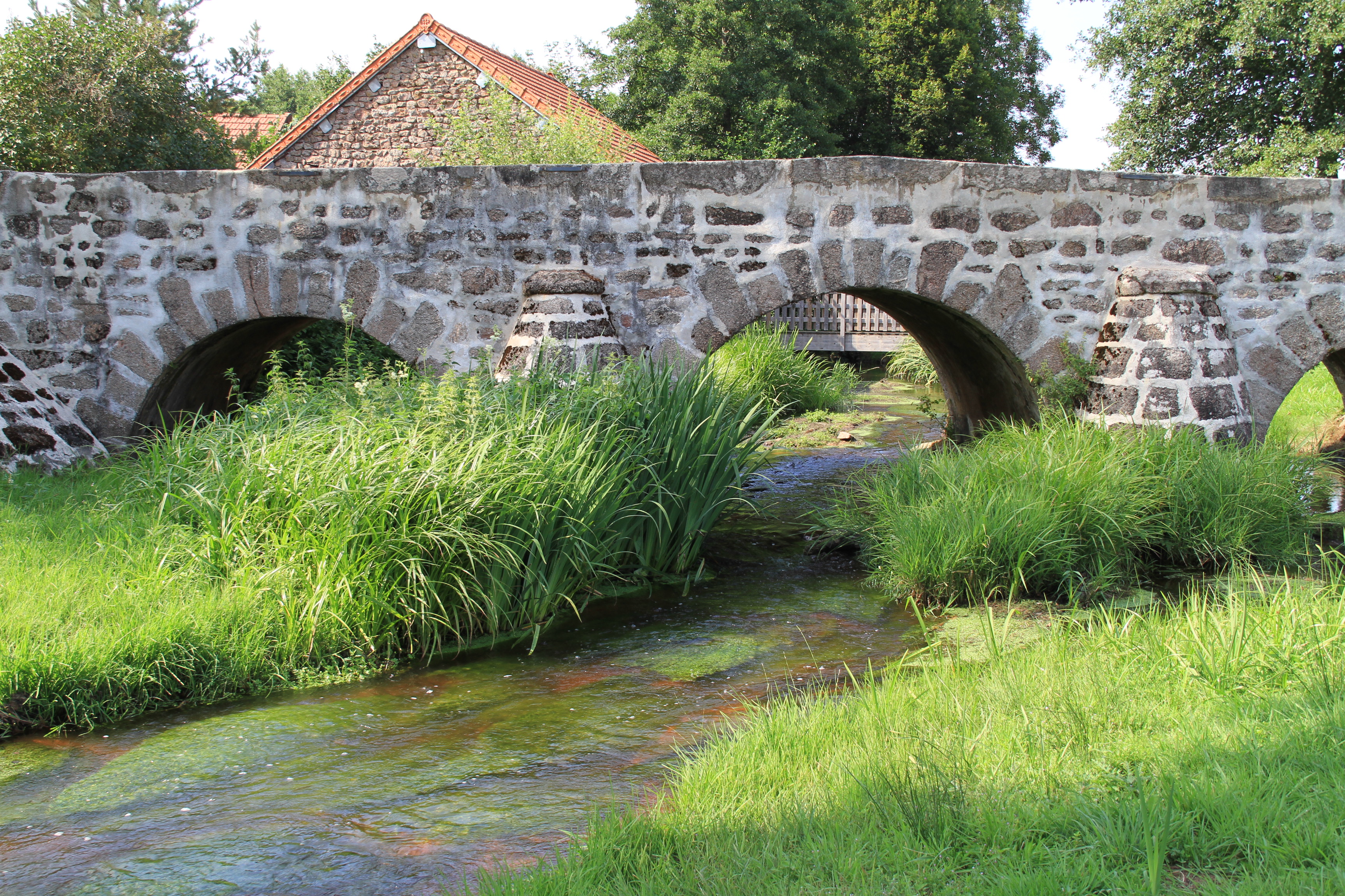 Pont sur le Ternin