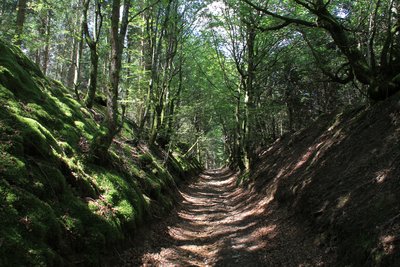 Chemin antique Bibracte Alésia