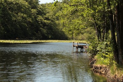 Etang des Vernois Brassy