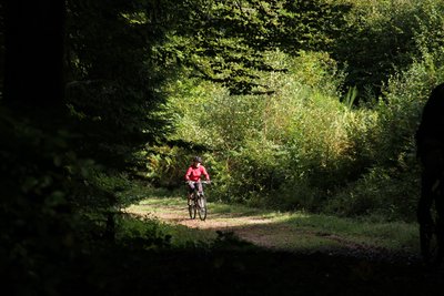 VTT dans les bois