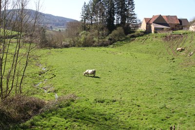 Paysage Cussy en Morvan