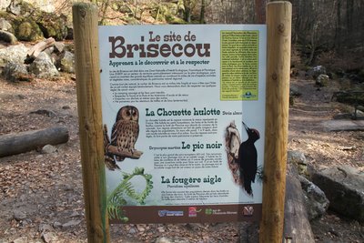 Site de Brisecou