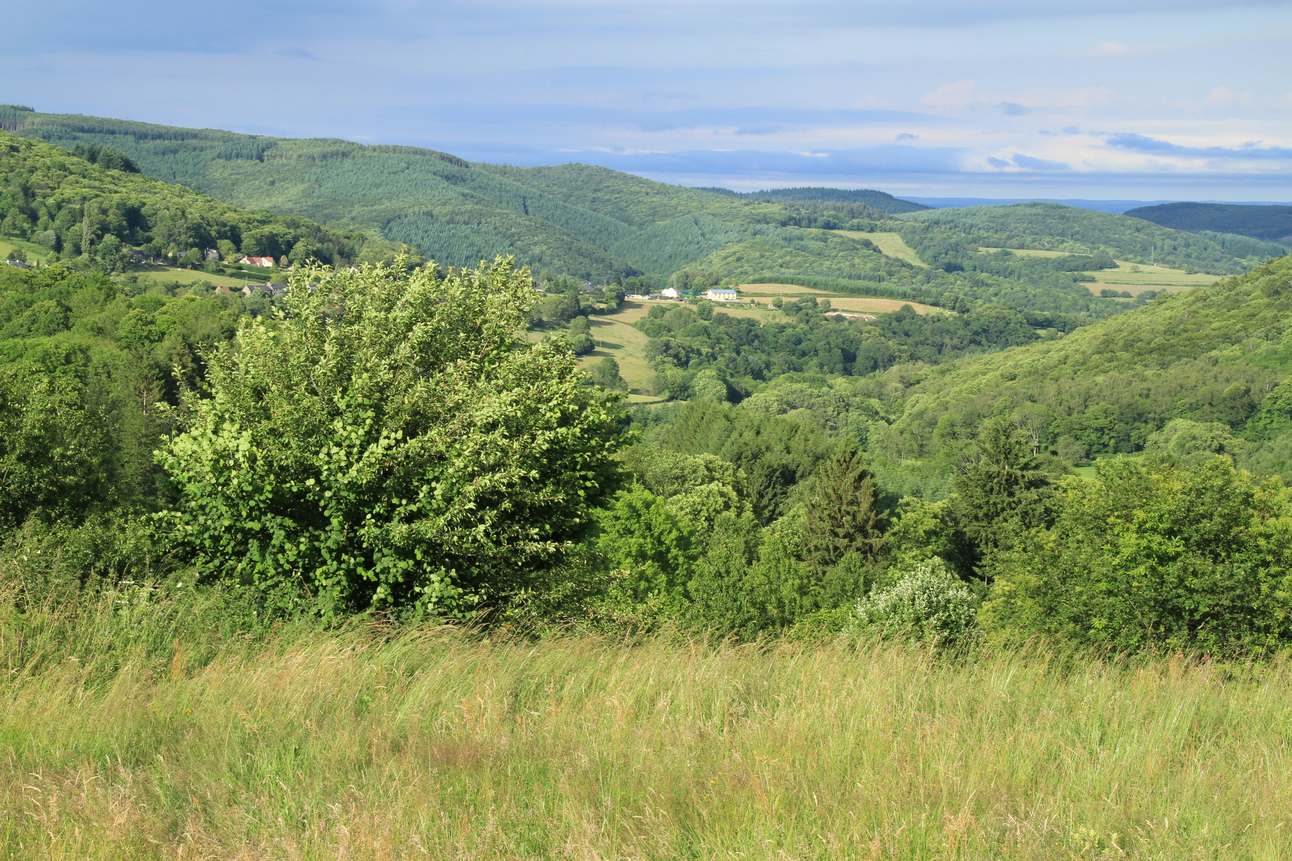 Paysage La Grande-verrière