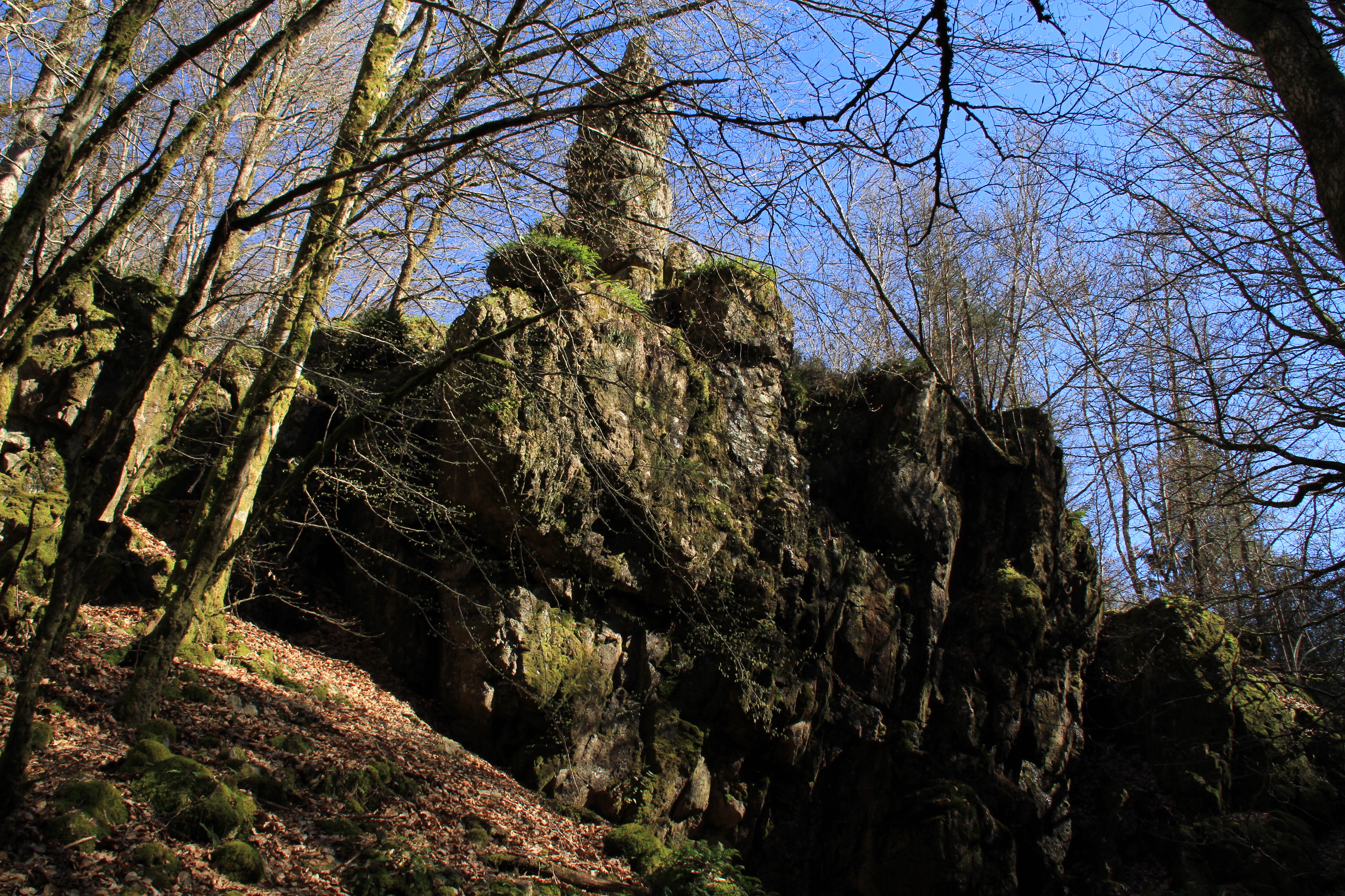 Roussillon en Morvan Gorges de la Canche