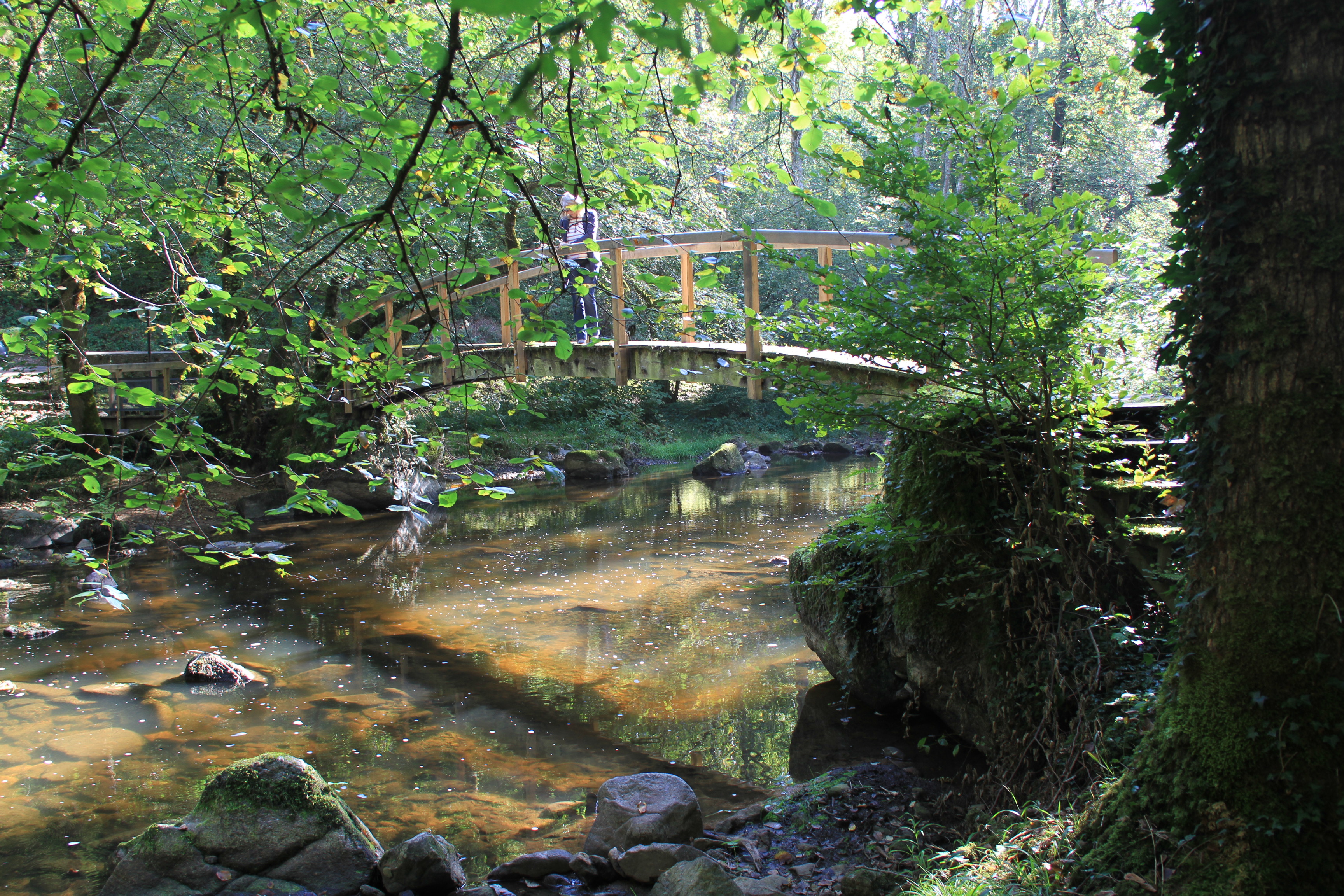 Vallée du Cousin Avallon