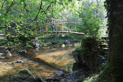 Vallée du Cousin Avallon
