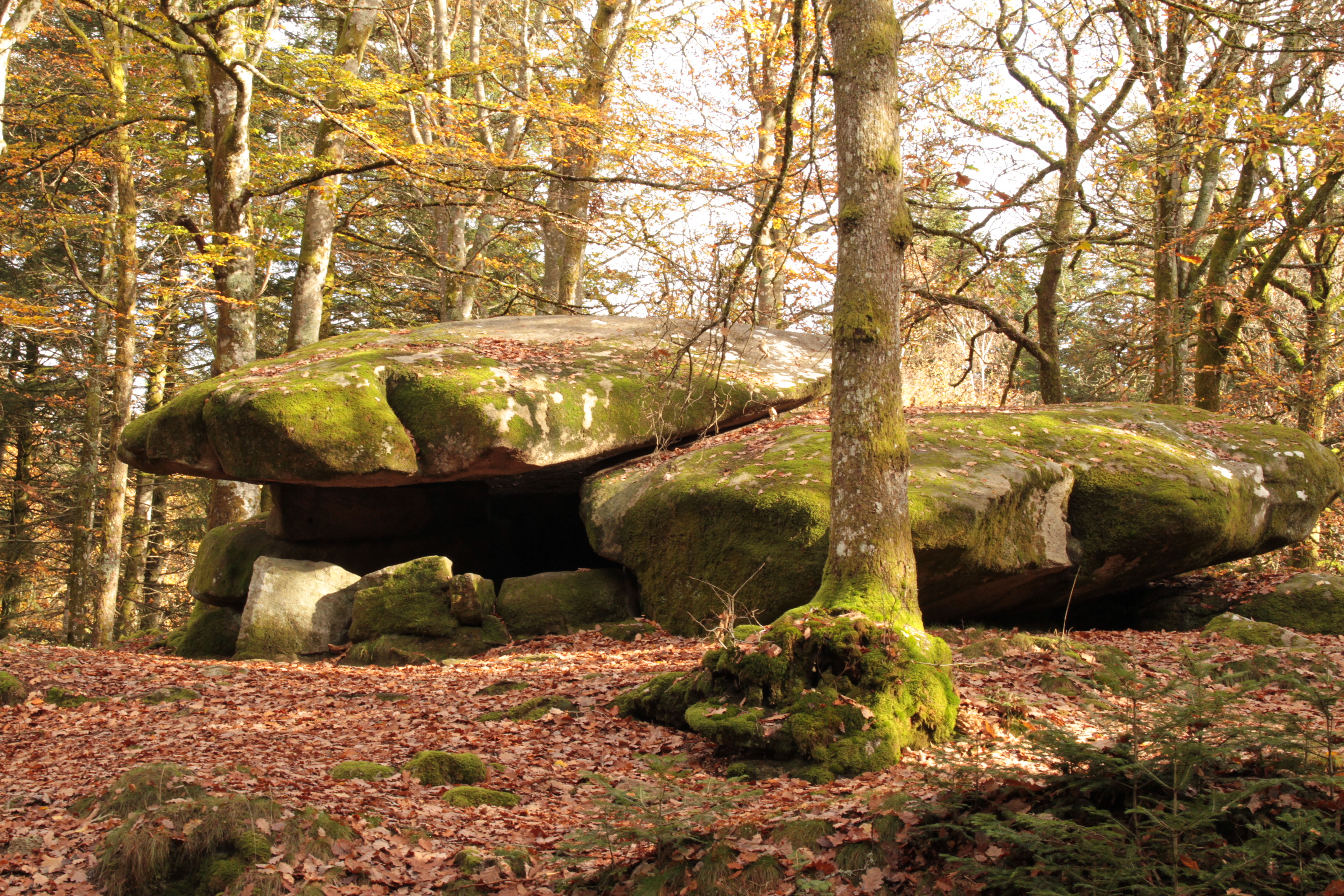 Dolmen Chevresse Forêt de Breuil Chenue