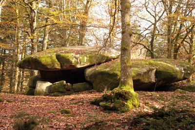 Dolmen Chevresse Forêt de Breuil Chenue
