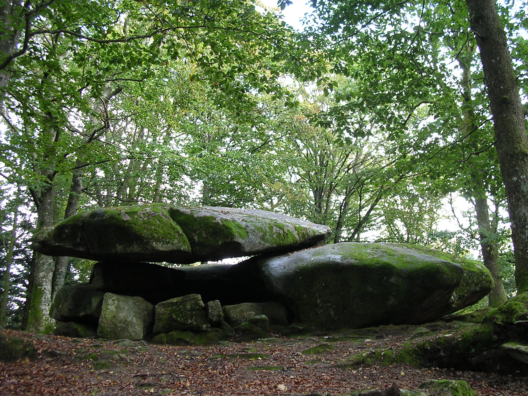 Dolmen Chevresse Forêt de Breuil Chenue
