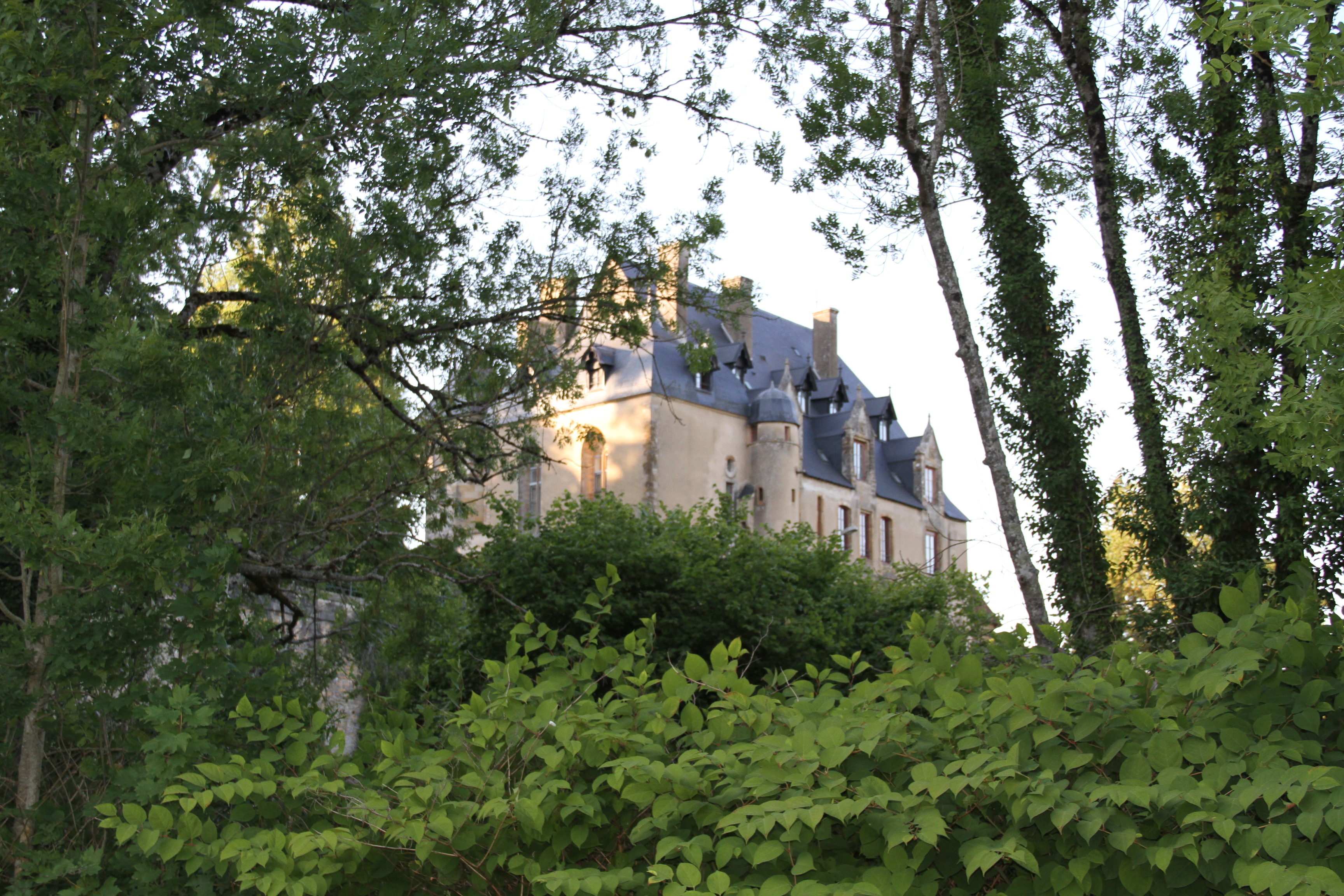 Château de Chatillon en Bazois