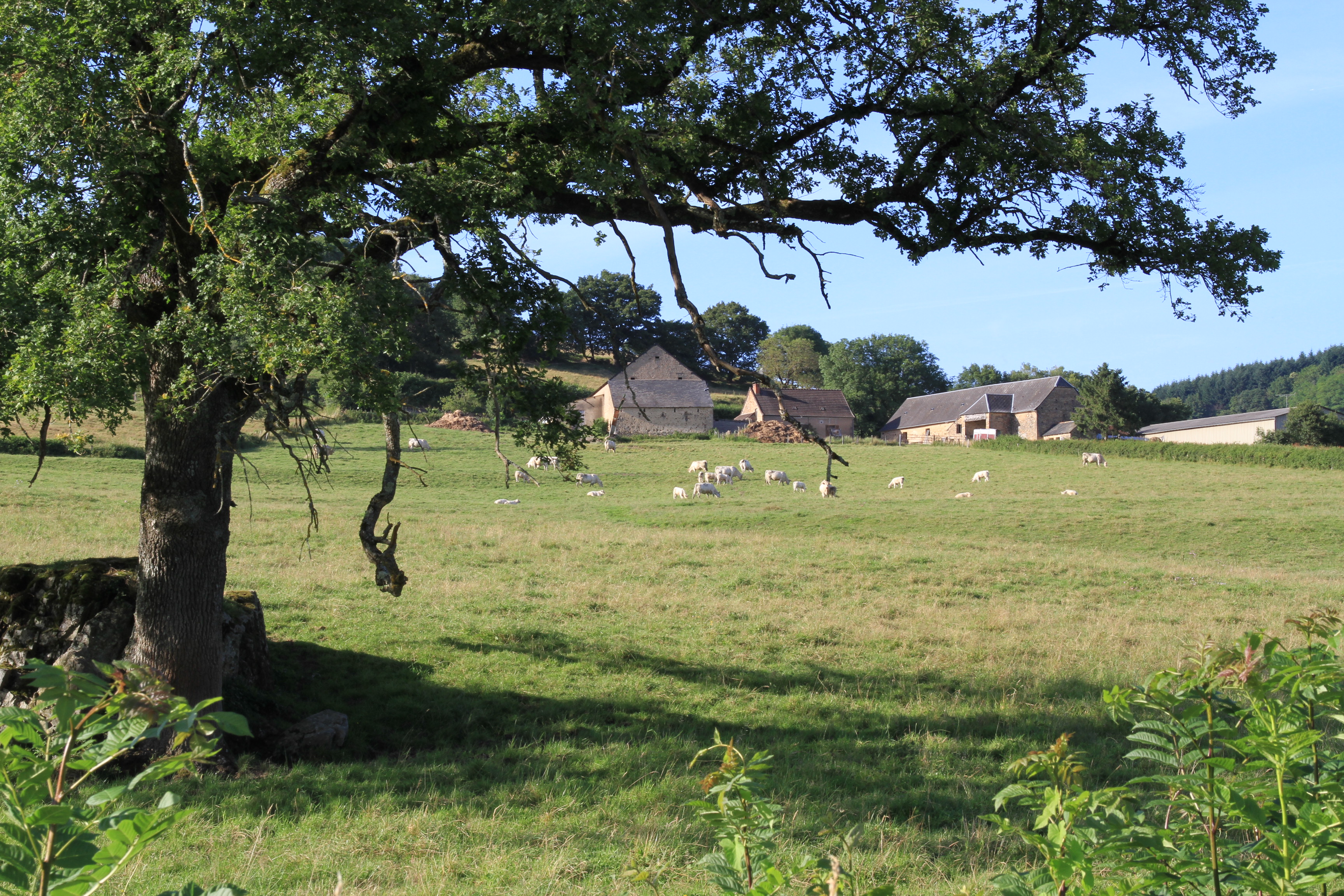 Paysage Sud Morvan